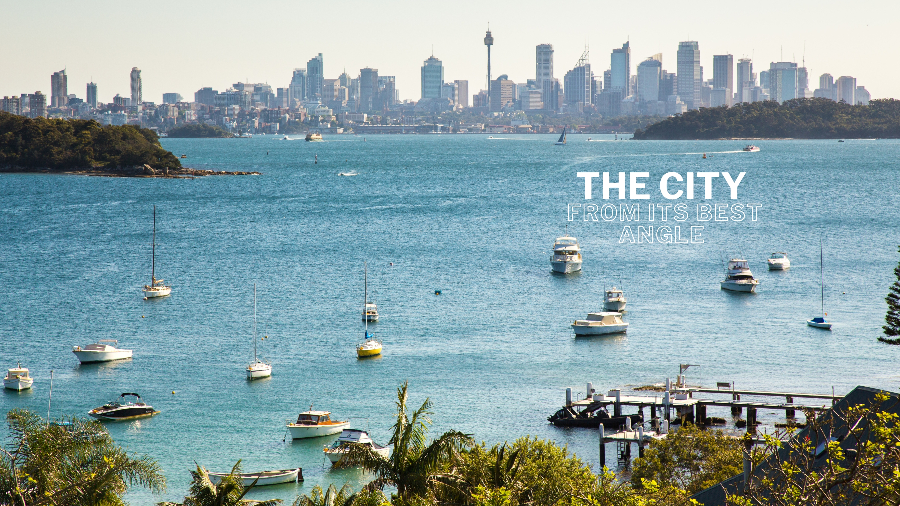 Wavii Yachts — Sydney Harbour cruise 1