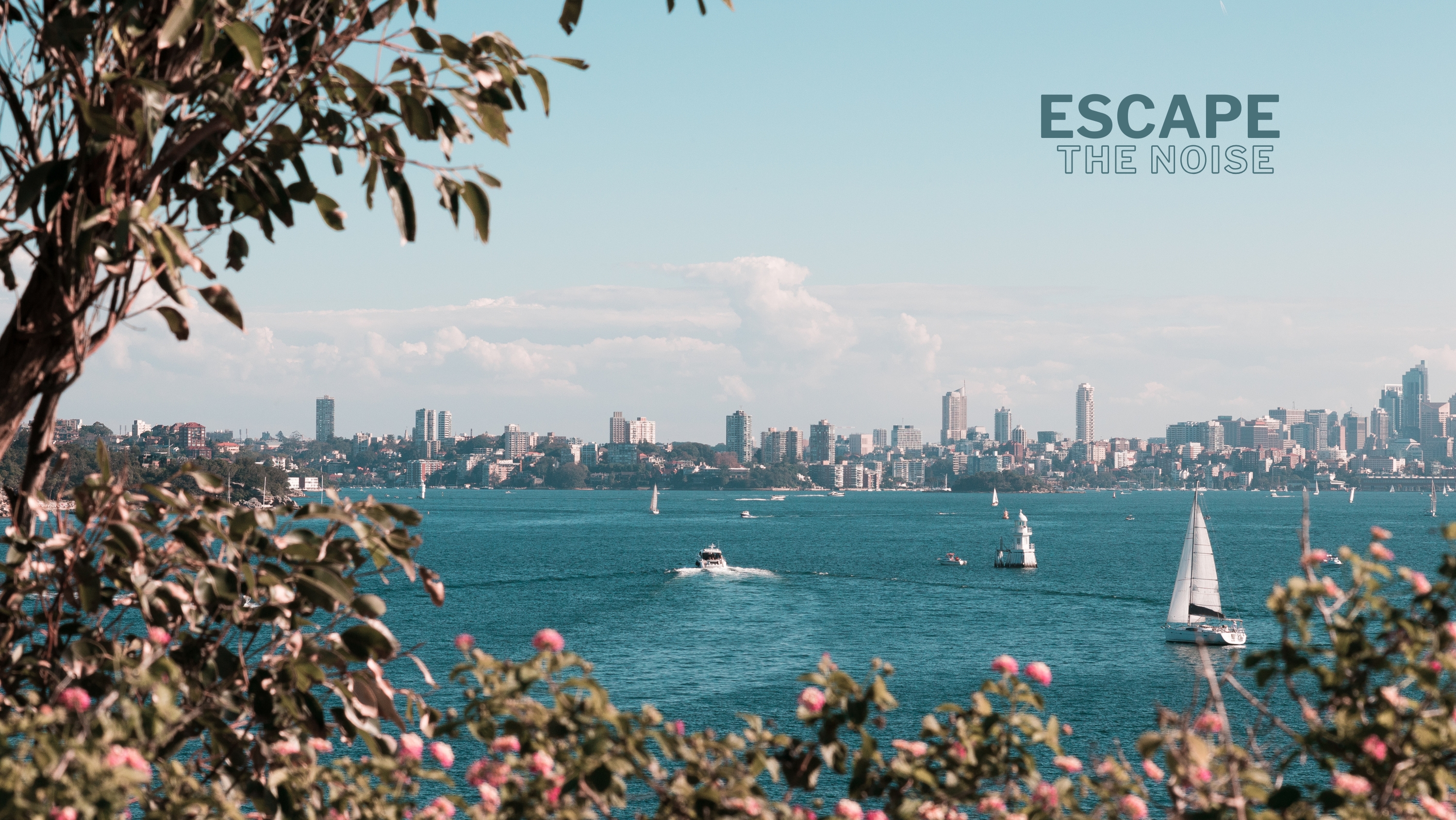 Wavii Yachts — Sydney Harbour cruise 8