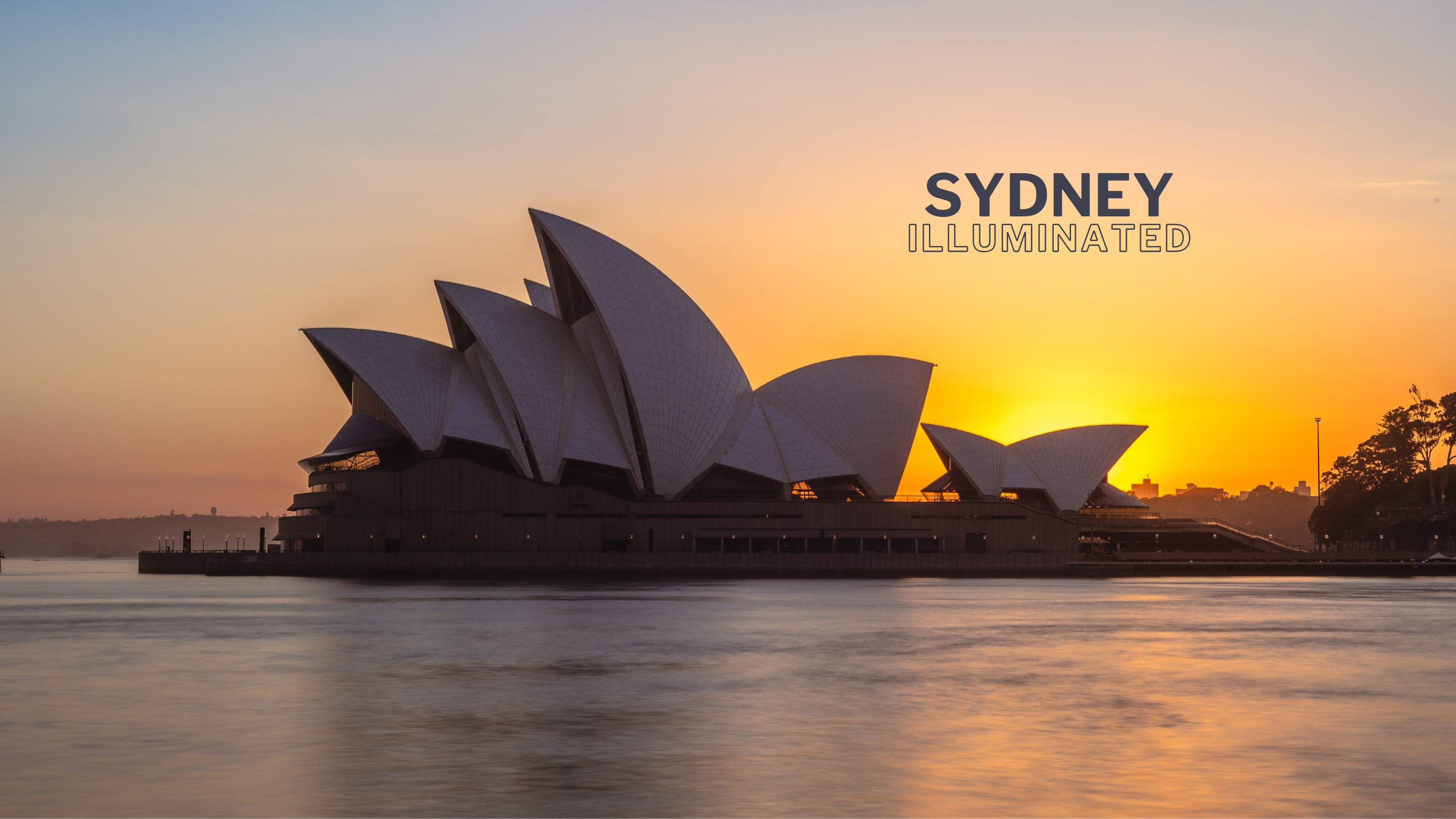 Wavii Yachts — Sydney Harbour cruise 3