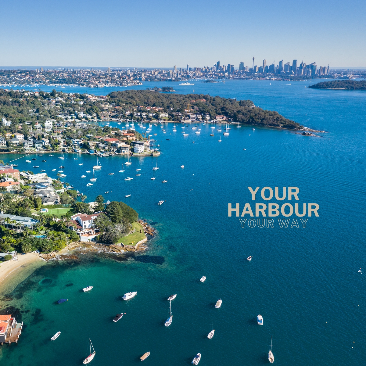 Wavii Yachts — Sydney Harbour cruise 8