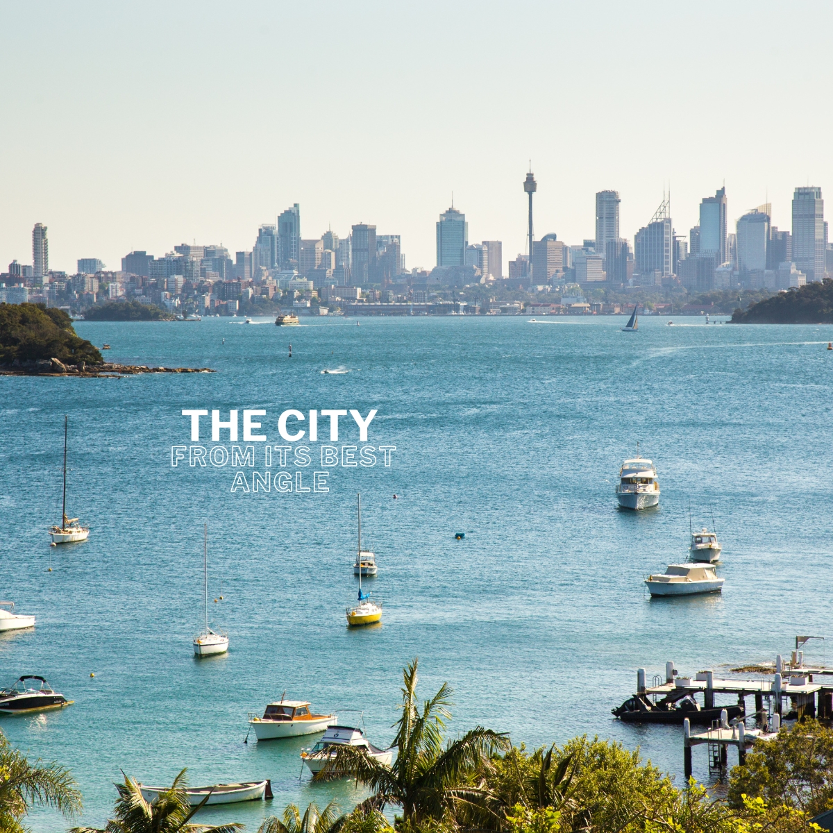 Wavii Yachts — Sydney Harbour cruise 5