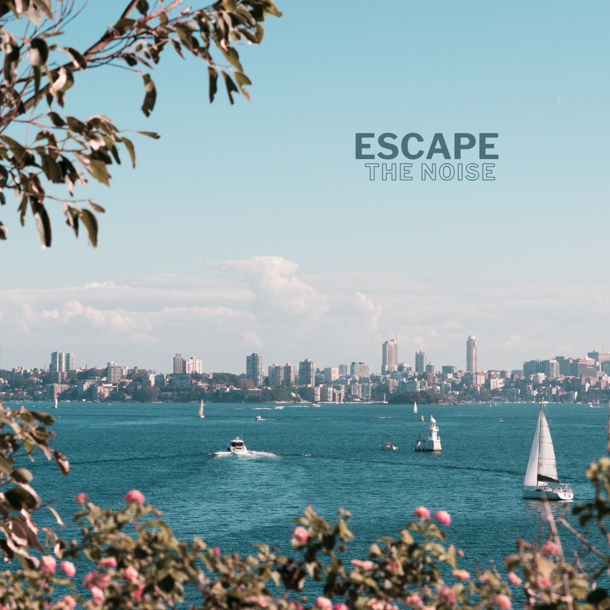 Wavii Yachts — Sydney Harbour cruise 11