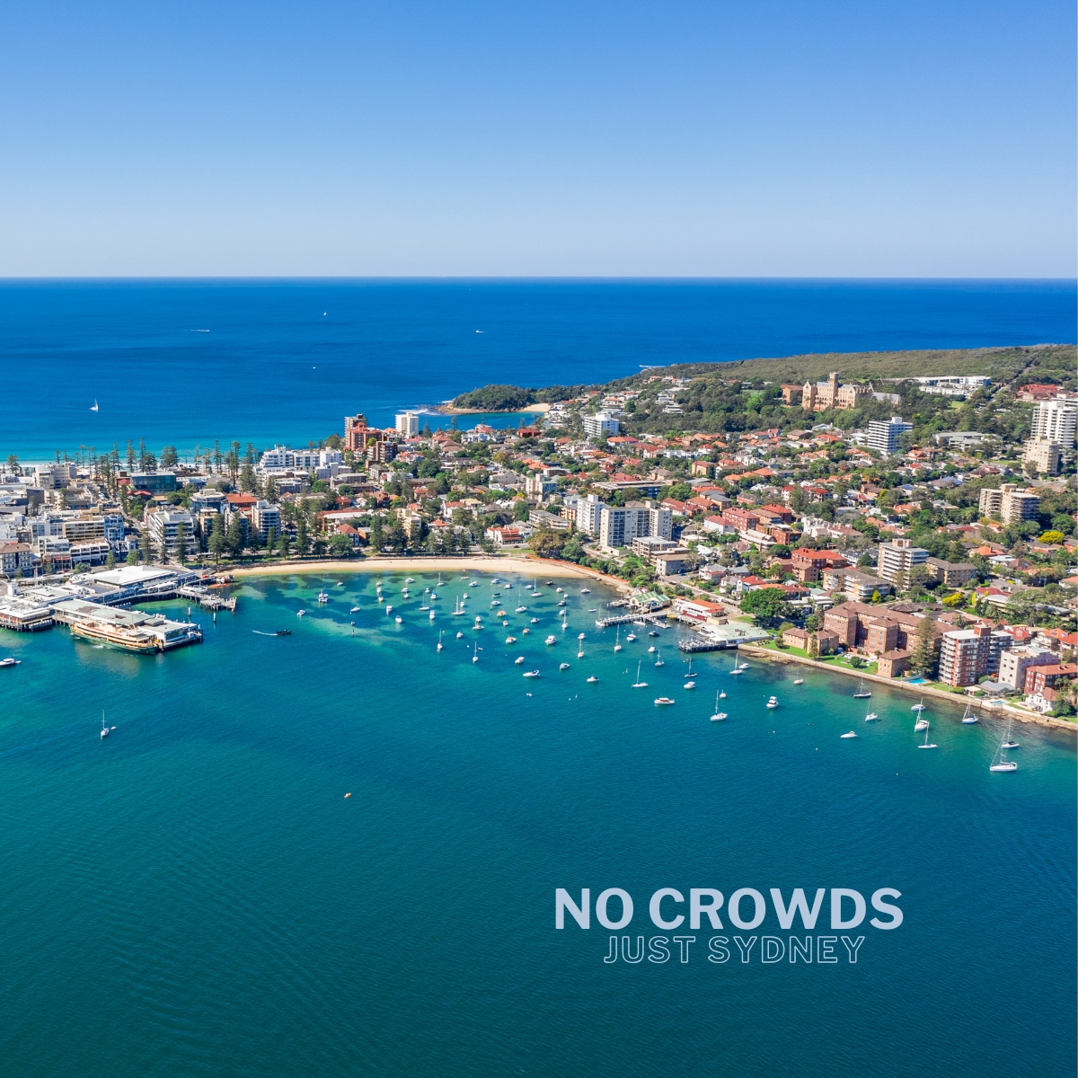 Wavii Yachts — Sydney Harbour cruise 4