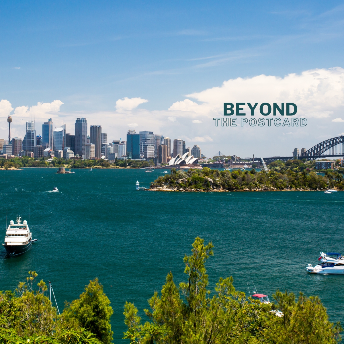Wavii Yachts — Sydney Harbour cruise 11