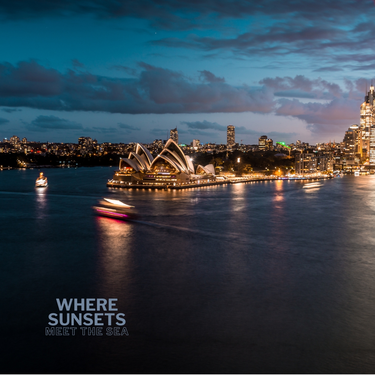 Wavii Yachts — Sydney Harbour cruise 2