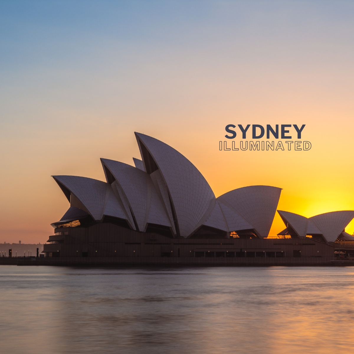 Wavii Yachts — Sydney Harbour cruise 3